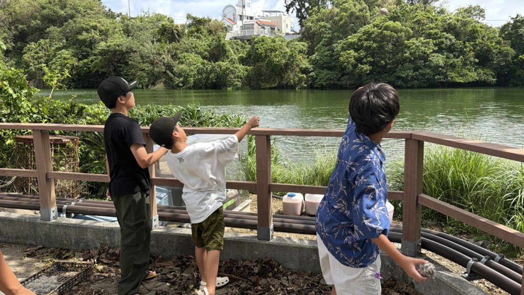 Three children stand at a wooden railing overlooking a river, one tossing a rock into the water while two watch nearby.